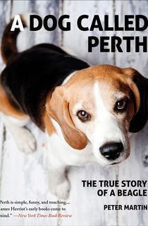 A Dog Called Perth