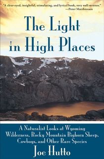 The Light in High Places