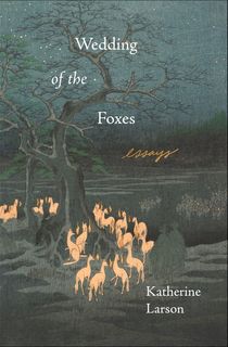 Wedding of the Foxes