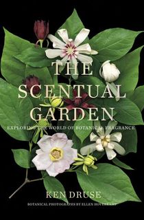 The Scentual Garden