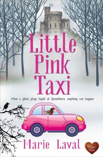 Little Pink Taxi