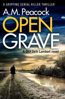 open grave, a mystery book for adults