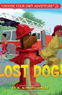 Lost Dog!