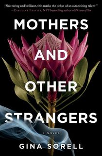 mothers and other strangers, a psychological thriller book