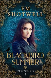 blackbird summer, a southern gothic book