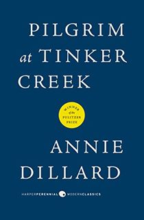 pilgrim at tinder creek, a brainy beach read