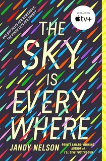 The-Sky-Is-Everywhere The Sky Is Everywhere