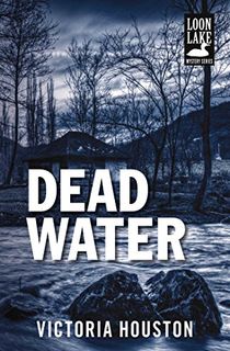 Dead Water (Loon Lake Mystery Book 3)