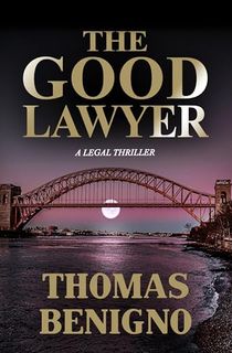 The Good Lawyer