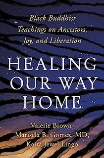 Healing Our Way Home: Black Buddhist Teachings on Ancestors, Joy, and Liberation