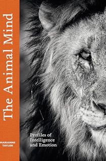 The-Animal-Mind The Animal Mind