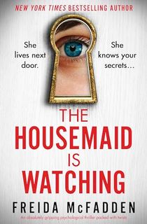 The-Housemaid-Is-Watching The Housemaid Is Watching
