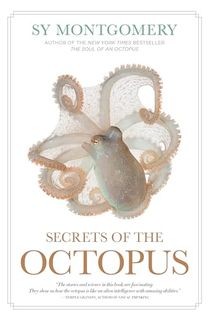 Secrets of the Octopus