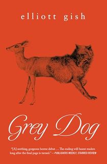 Grey-Dog Grey Dog