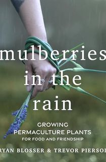Mulberries in the Rain: Growing Permaculture Plants for Food and Friendship