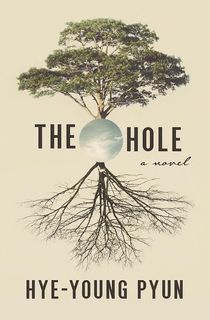 the hole, a korean book