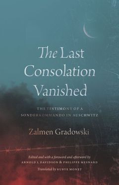 The Last Consolation Vanished