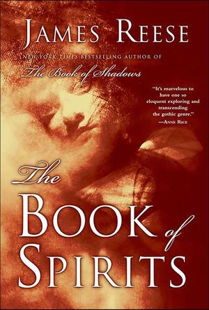 Buy The Book of Spirits at Amazon