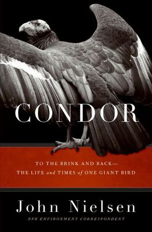 Condor