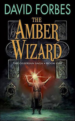 Buy The Amber Wizard at Amazon