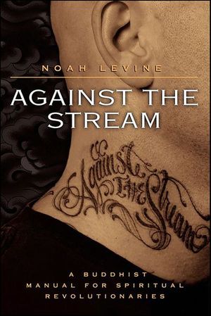 Buy Against the Stream at Amazon