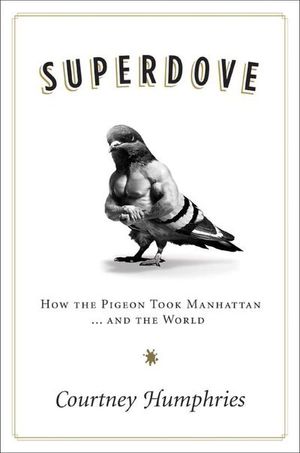 Buy Superdove at Amazon