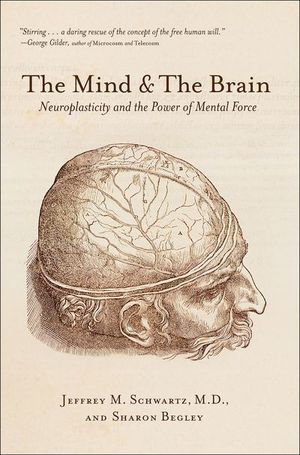 Buy The Mind & The Brain at Amazon