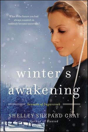 Buy Winter's Awakening at Amazon