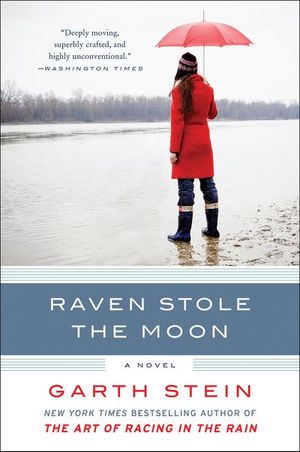 Buy Raven Stole the Moon at Amazon