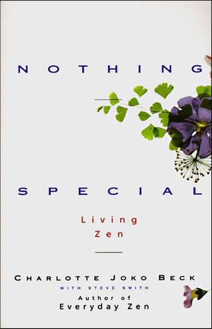 Buy Nothing Special at Amazon