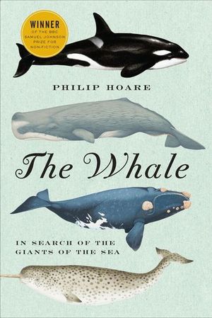 Buy The Whale at Amazon