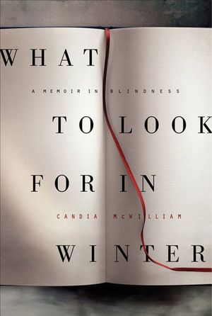 What to Look for in Winter