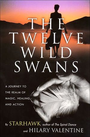 Buy The Twelve Wild Swans at Amazon