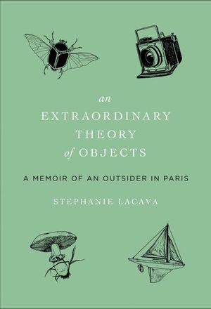 Buy An Extraordinary Theory of Objects at Amazon