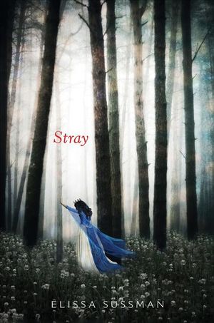 Buy Stray at Amazon