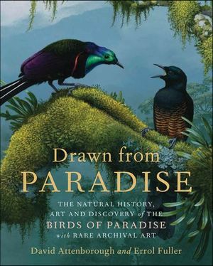 Buy Drawn from Paradise at Amazon