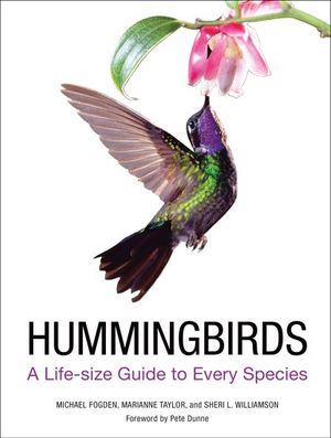 Buy Hummingbirds at Amazon