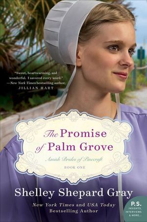 Buy The Promise of Palm Grove at Amazon