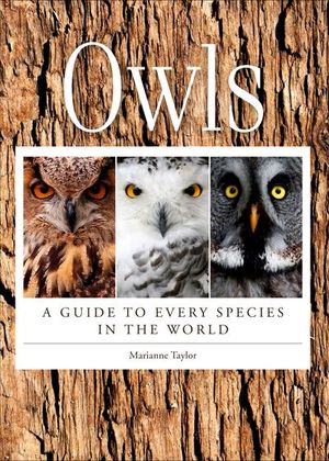 Buy Owls at Amazon