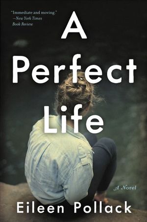 Buy A Perfect Life at Amazon