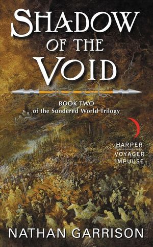 Buy Shadow of the Void at Amazon