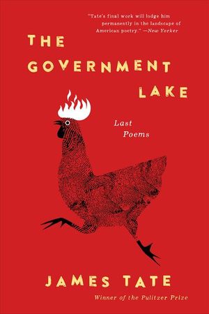 Buy The Government Lake at Amazon