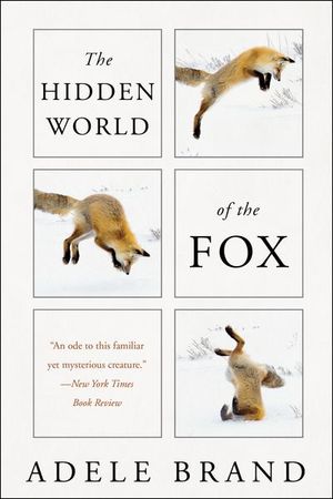 Buy The Hidden World of the Fox at Amazon