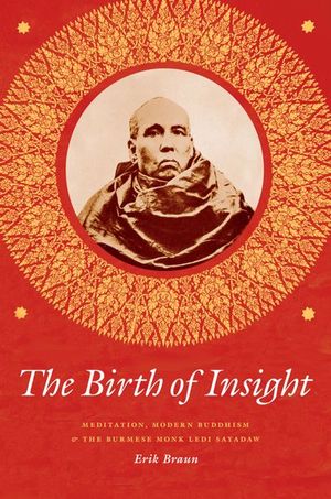 Buy The Birth of Insight at Amazon