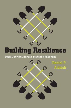 Buy Building Resilience at Amazon