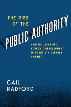 Buy The Rise of the Public Authority at Amazon
