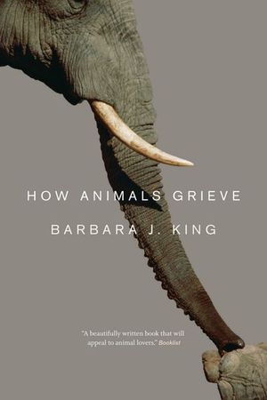 Buy How Animals Grieve at Amazon