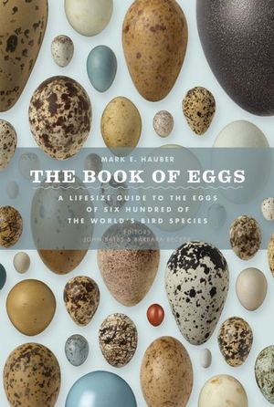 Buy The Book of Eggs at Amazon