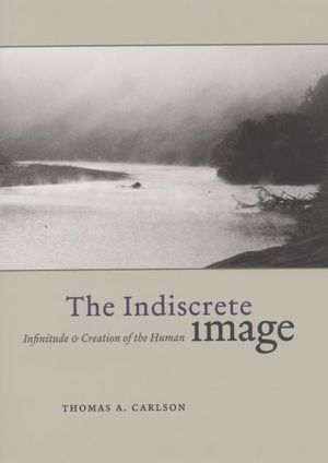 The Indiscrete Image