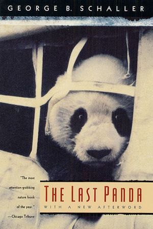 Buy The Last Panda at Amazon